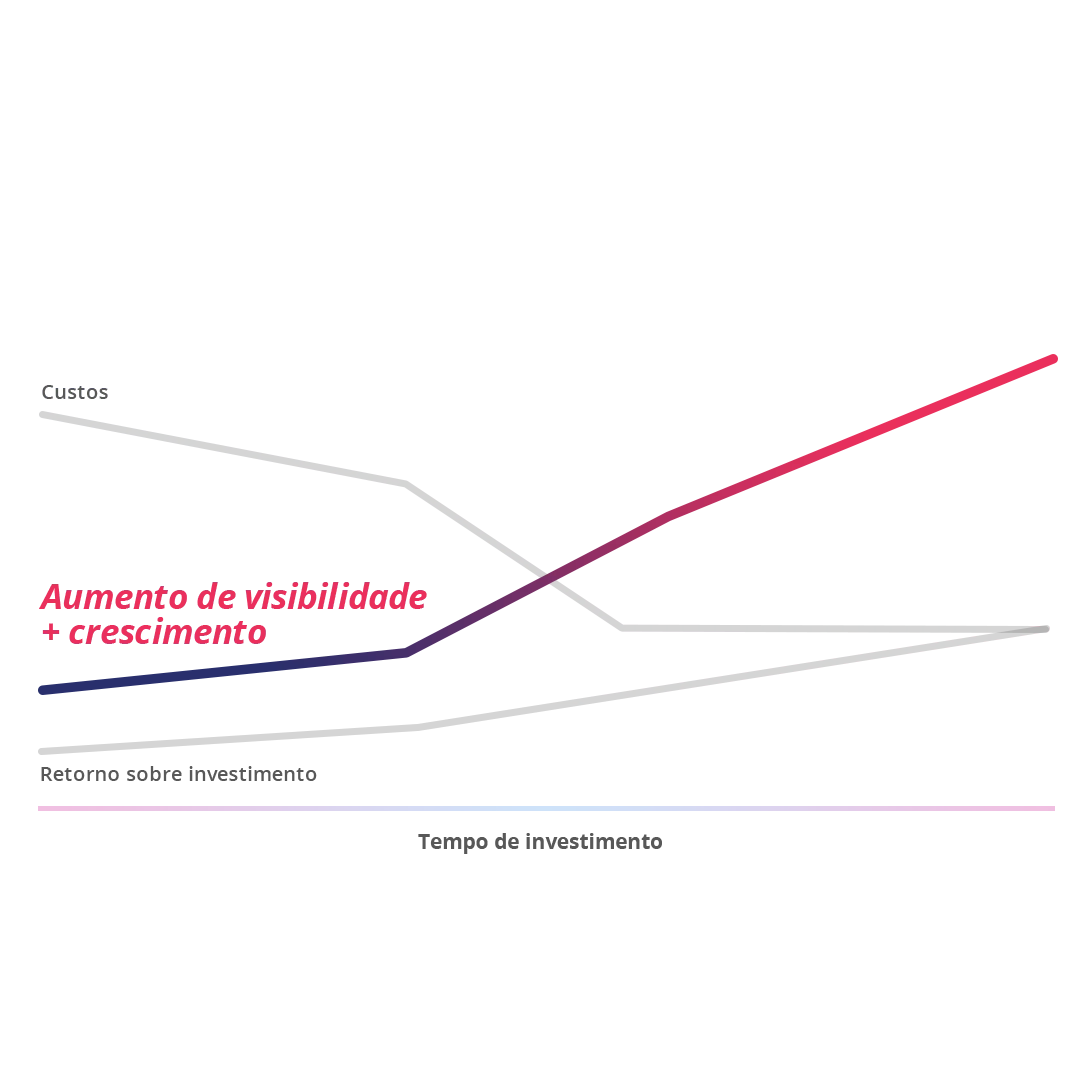 desenvolvimento websites